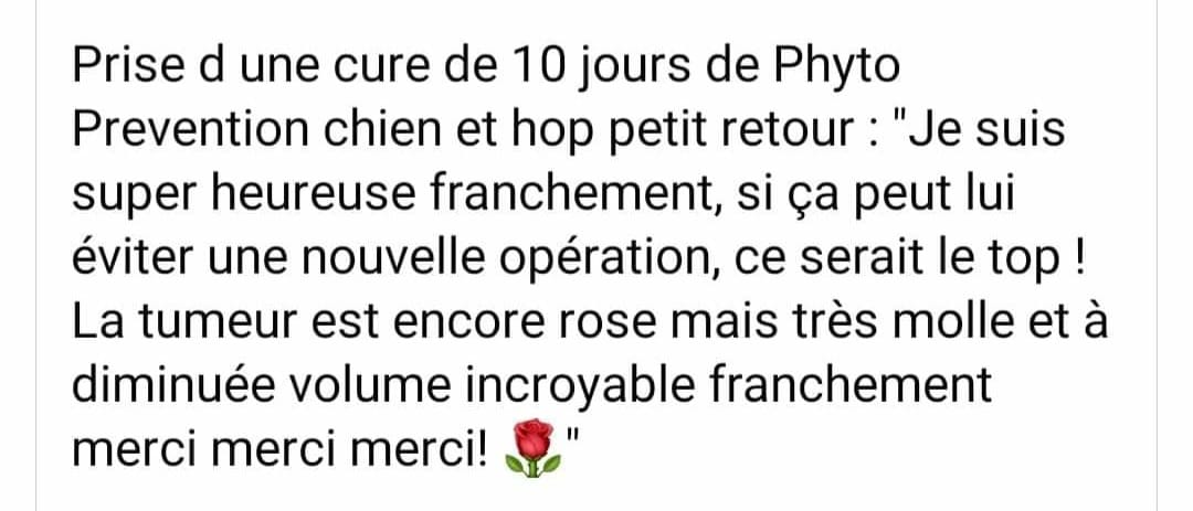 Témoignage client